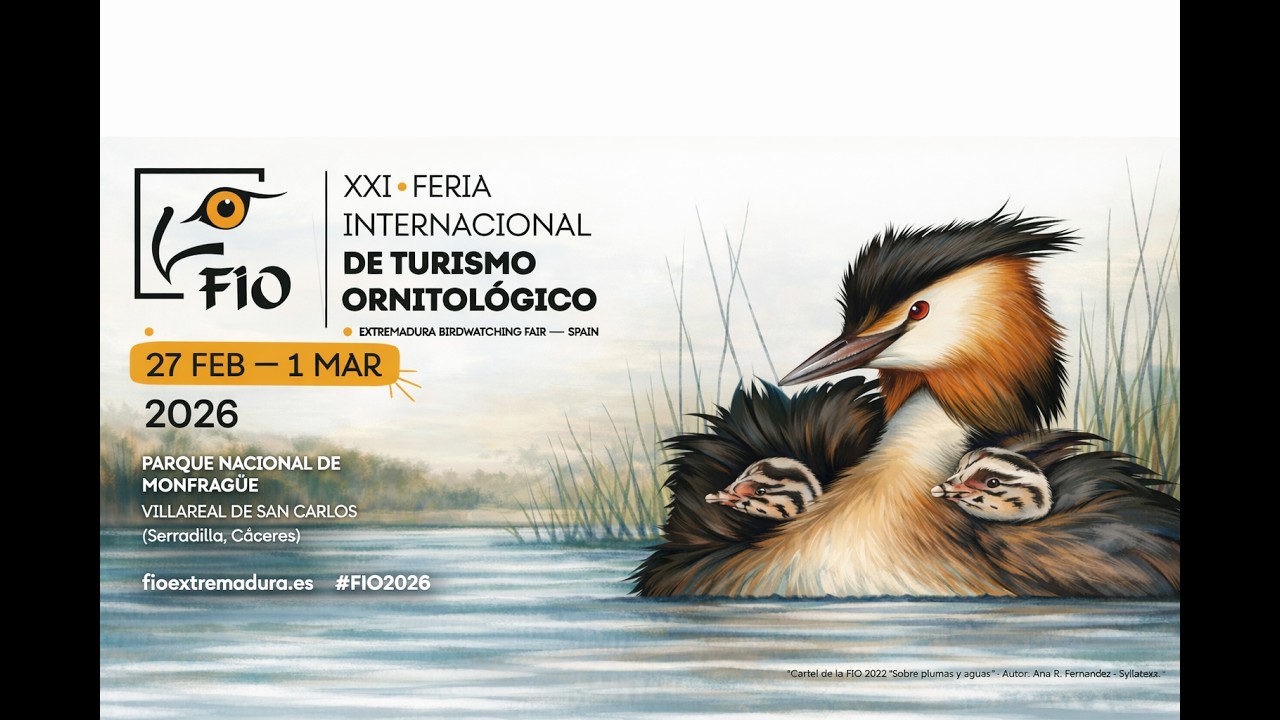 FOTOFIO - DOMINGO 1 MAR26 - MAÑANA