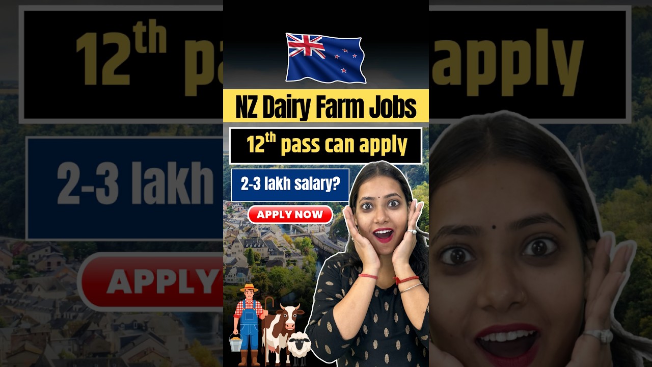 New Zealand Dairy Farm Jobs 2025 | Apply Now via Best Websites #newzealand #dairyfarm