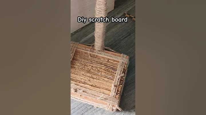 Video 5928581: persian british longhair cats, british longhair cat grooming, british long hair cat, best quality persian cat, post cat