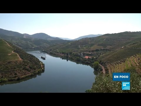 Vídeo: Quan visitar la vall del Duero?