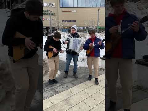 Встреча с баянистом..
