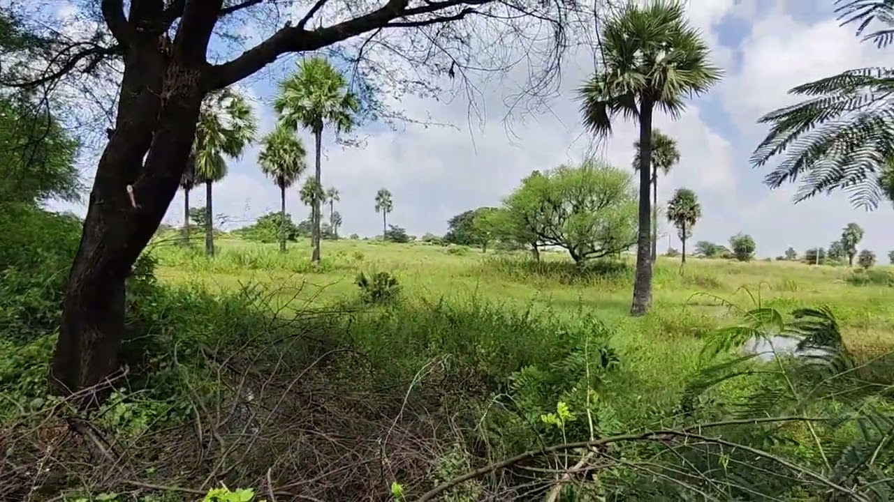 8 Acres Land for Sale | Arutla Village | Just 38 KM from City LB nagar,Hyderabad | Sagar Highway.