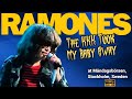 Ramones - The KKK Took My Baby Away (live 1981) #Ramonesforall #ramones #theramones #punkrock