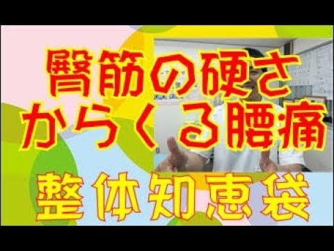 臀筋の硬さ（緊張）からの腰痛「整体知恵袋.com」