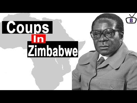 Video: Laboratoriekarakterisering Af Salmonella Enterica Serotype Typhi Isolater Fra Zimbabwe, 2009–2017