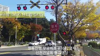 동해선 정동진행 무궁화호 #1682열차 신천건널목 통과영상(2017.11.11)