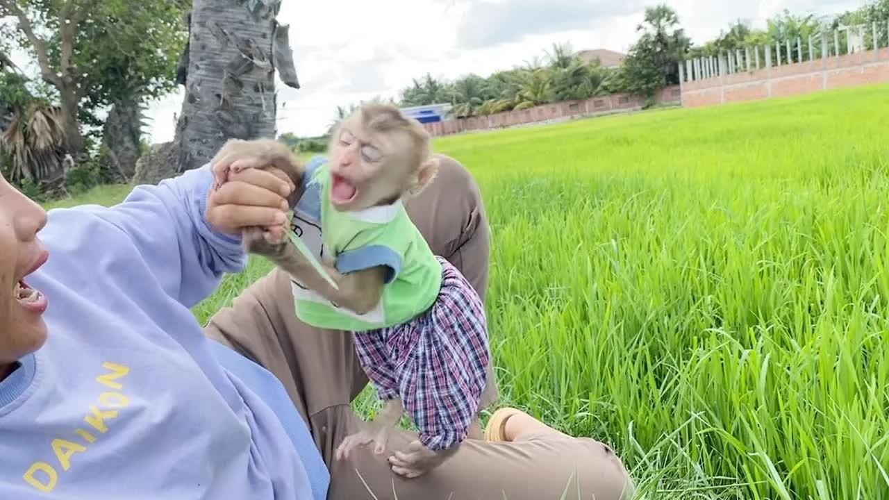 Big Boy DAM Very Happily Hangout Outdoor With Mommy At Rice Field