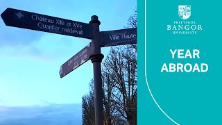 My Year Abroad in France