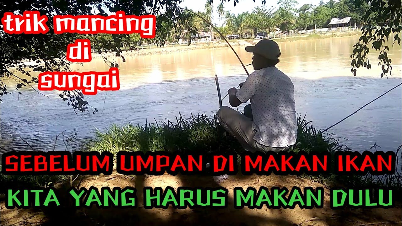 SEBELUM IKANNYA MAKAN UMPAN KITA YANG HARUS MAKAN DULU