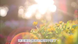 Video thumbnail of "Plastic Tree - 37°C [中文字幕]"