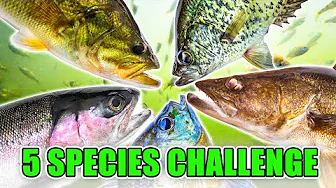 Fishing For Something DIFFERENT Today | 5 Hour Road Trip To Fish For 1 Day