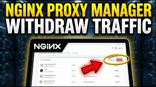 How to withdraw your server traffic from NGINX proxy manager - Complete Guide