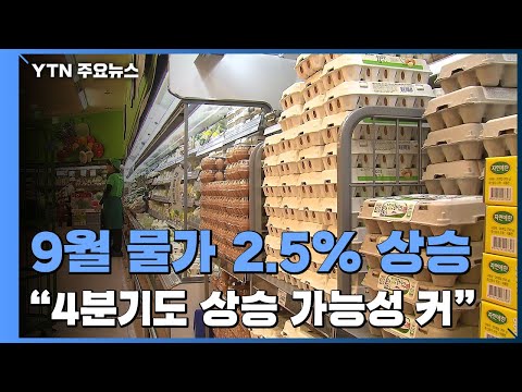 6개월 연속 2%대 고공행진...연말 물가 관리 비상 / YTN