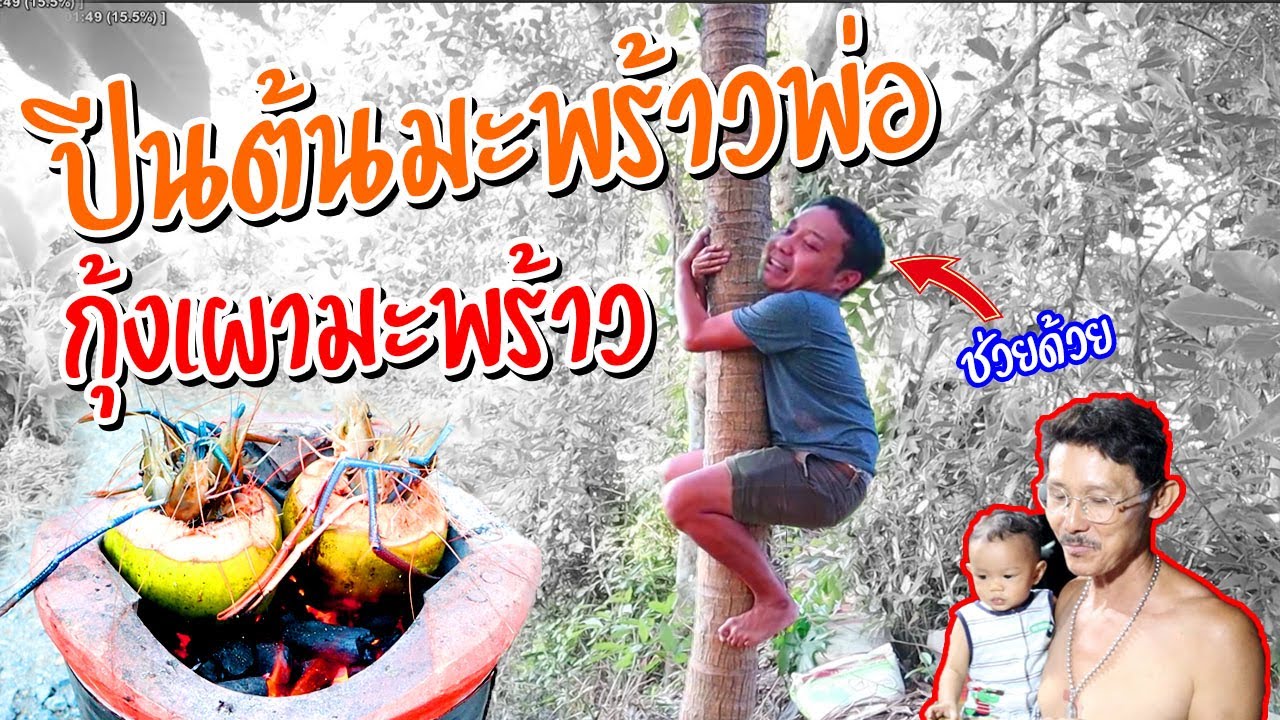 ปีนต้นมะพร้าวพ่อ เอามาทำกุ้งเผาน้ำมะพร้าว จะกินได้ไหม!!!