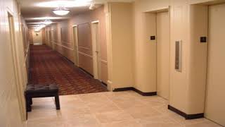 44313 Apartment for Rent in Akron, OH