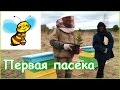 Начинающий пчеловод поставил первые ульи в родовом поселении Жива