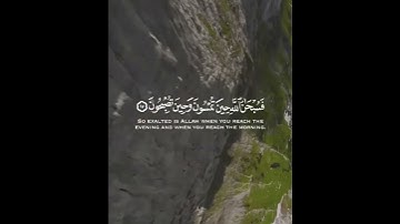 راحة نفسية😴❤️ارح سمعك تلاوة هادئة تنسيك هموم الدنيا كلها😴💙حالات واتس اب دينية#القارئ عبد الباسط