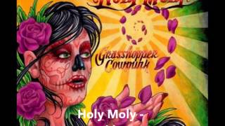 Video thumbnail of "Holy Moly - Moonshine Man"