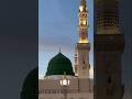 #trending #shortvideos # subhanallah subhanallah