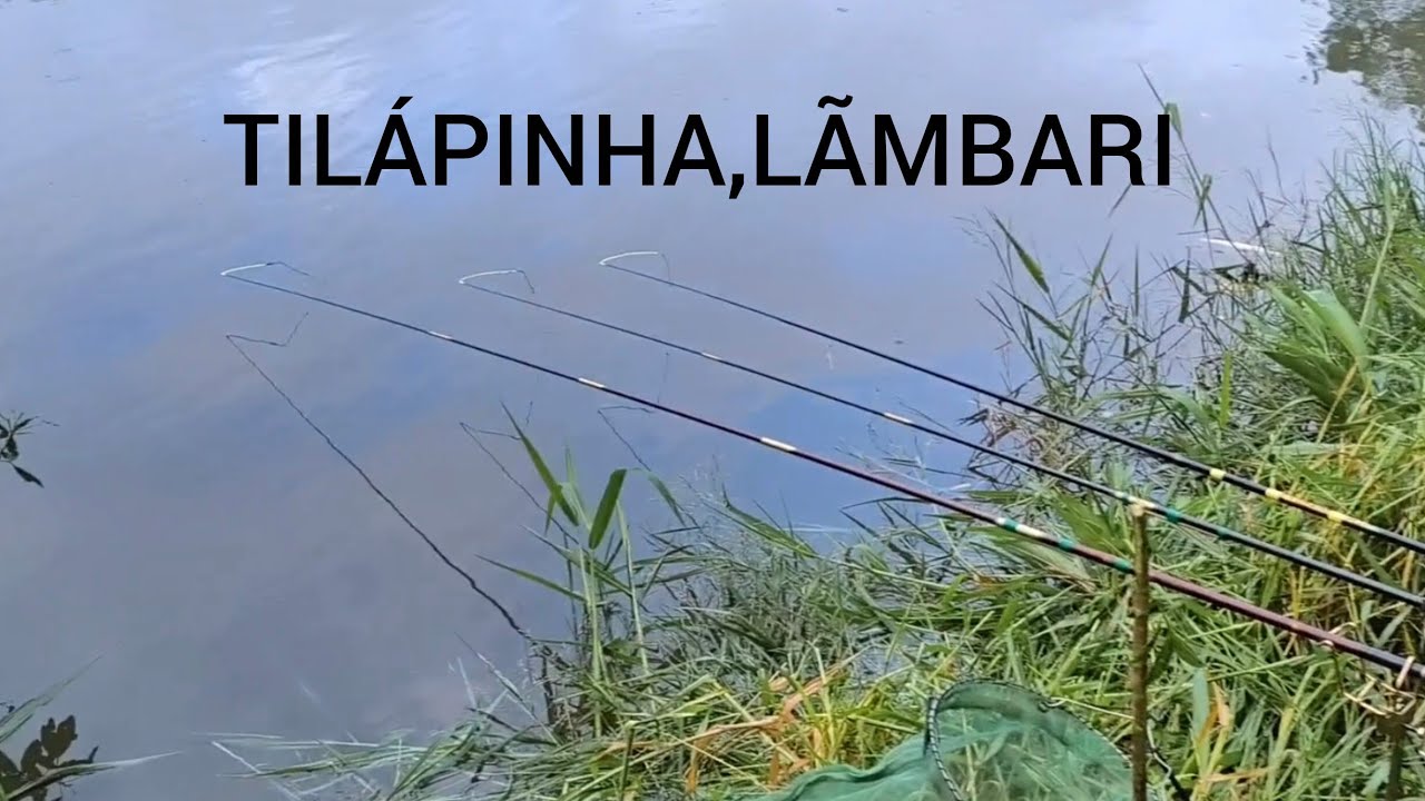 TILÁPINHA,LÃMBARI, BRINCADEIRA BOA