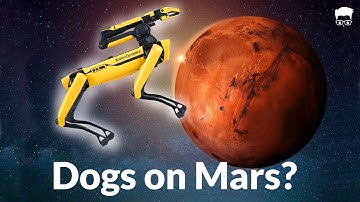 Nasa plans to send Boston Dynamic Robot on Mars