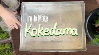 Try To Make Kokedama