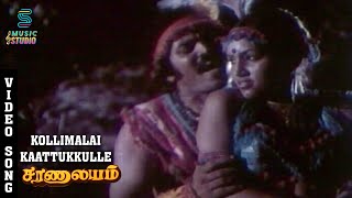 Kollimalai Kaattukkulle Video Song - Saranalayam | Mohan | Nalini | M.S.Viswanathan | Music Studio