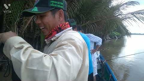 SĂN CÁ BÔNG LAU SÔNG CỔ CHIÊN VÀ MỘT NGÀY MAI MẮN