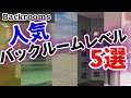 【初心者向け】人気バックルームレベル5選