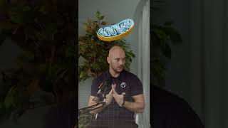Zone 2 Cheat Code | Fat‑Burning &amp; Longevity Training | Posture &amp; Performance UAE Podcast