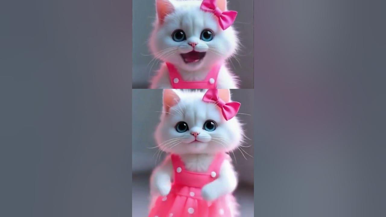 ROSÉ & Bruno Mars - APT remix😺😍 #rosé #brunomars #apt #kpopedit #cats #dance #ai #kpop #ytshorts ROSÉ & Bruno Mars - APT remix😺😍 #rosé #brunomars #apt #kpopedit #cats #dance #ai #kpop #ytshorts