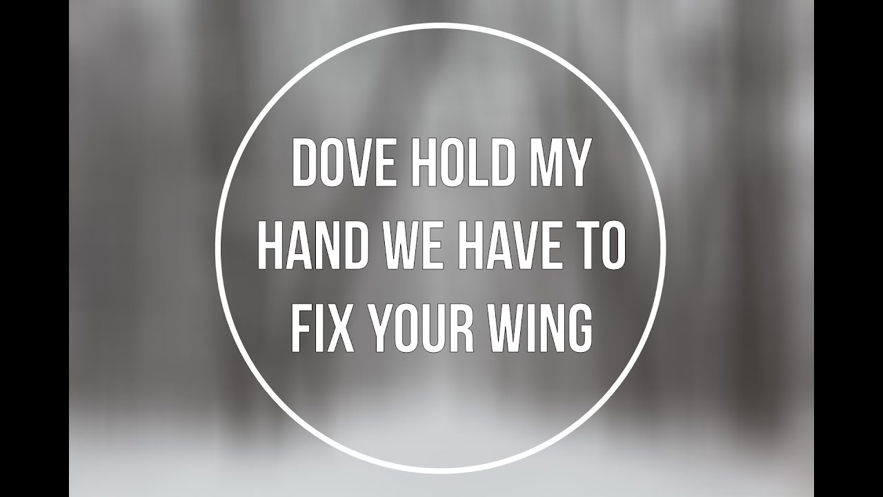 Твой сильный парень-оборотень лечит твое сломанное крыло (M4A) (ASMR) (Слушатель мужского пола: о...