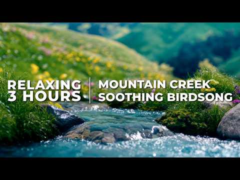 🏔️ Mountain Creek | Relaxing Water Sounds with Distant Birdsong for Sleep, Study & Focus
