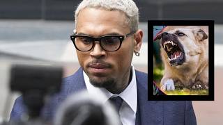 Details Chris Brown REFUSES To Go Down Without a F!ght Over $13M Housekeeper Judgment! Update