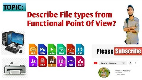Lect 5 | Describe the file types from functional point of view? #programfile #datafile #icspart2