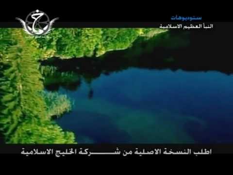 رواسي اشواكي عادل الرماحي