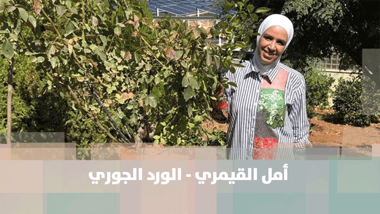 أمل القيمري - الورد الجوري - زراعة وبيئة