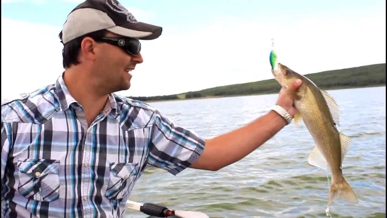 crankbait trolling speed for walleye