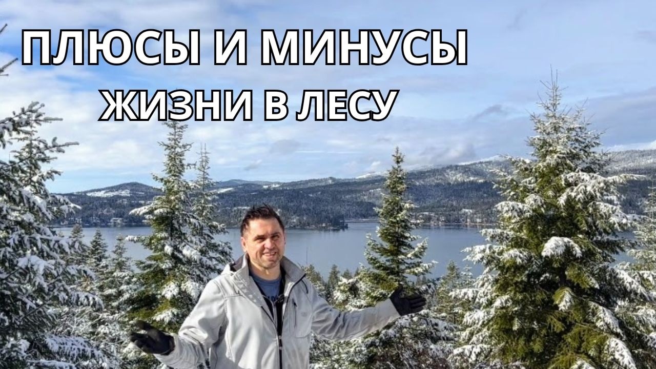 Жизнь в лесу. Плюсы, о которых мечтают, и минусы, к которым не готовы