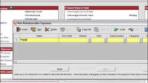 Non Reimbursable Expenses v2 - Sample.mp4