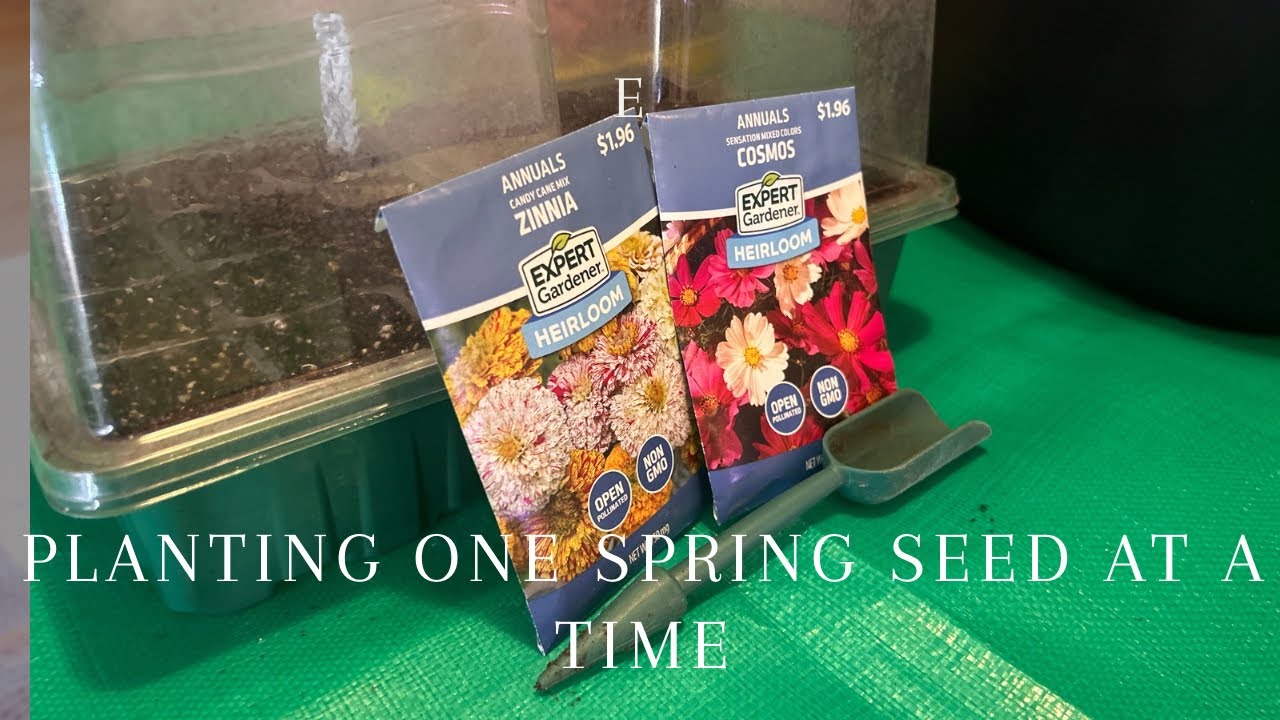 Season : 5 Where intentions meets soil 