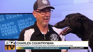 Why People Stuggle With Pet Problems