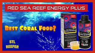 Red Sea Reef Energy Plus: Review & Fusion 40 Update