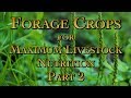 Forage Crops for Maximum Livestock Nutrition Part 2