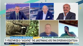 Σκάνδαλο ΟΠΕΚΕΠΕ: Τι υποστηρίζει ο "Χασάπης" της δικογραφίας από την ευρωπαϊκή εισαγγελία