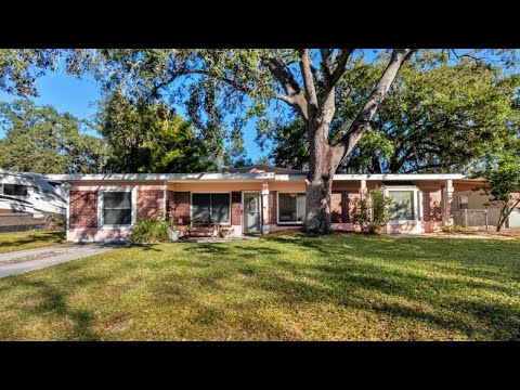 703 W 116TH Avenue, Tampa, FL home video tour