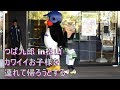 つば九郎　子供が可愛すぎて連れて帰ろうとする　2019/11/9