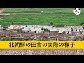 200メートル近距離で北朝鮮の田舎の実際の様子を見てみましょう｜Take a Close-up Look at the Actual Rural North Korea from 200 Meters