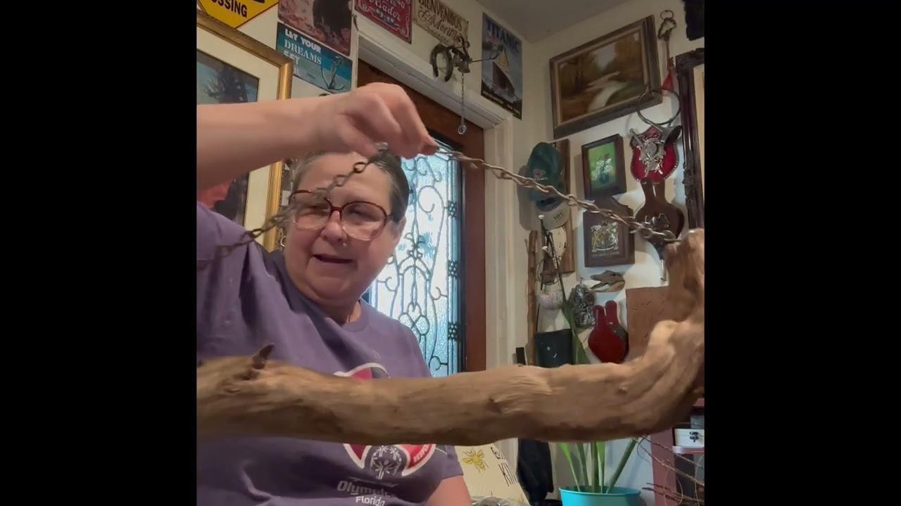 Embelleciendo mi jardín