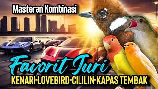 Suara Kombinasi Kenari vs Lovebird vs Cililin vs Kapas Tembak Untuk Masteran Murai Batu dan Kacer